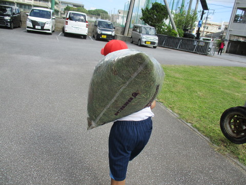 校内美化活動のようす